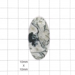 Tree Agate Oval Cabochon - 41x20x6mm Sold Individually