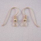 Gold Filled Earrings